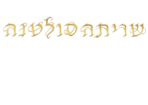 שריתה סולטנה - חינה